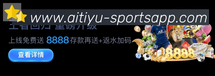 互动解说服务